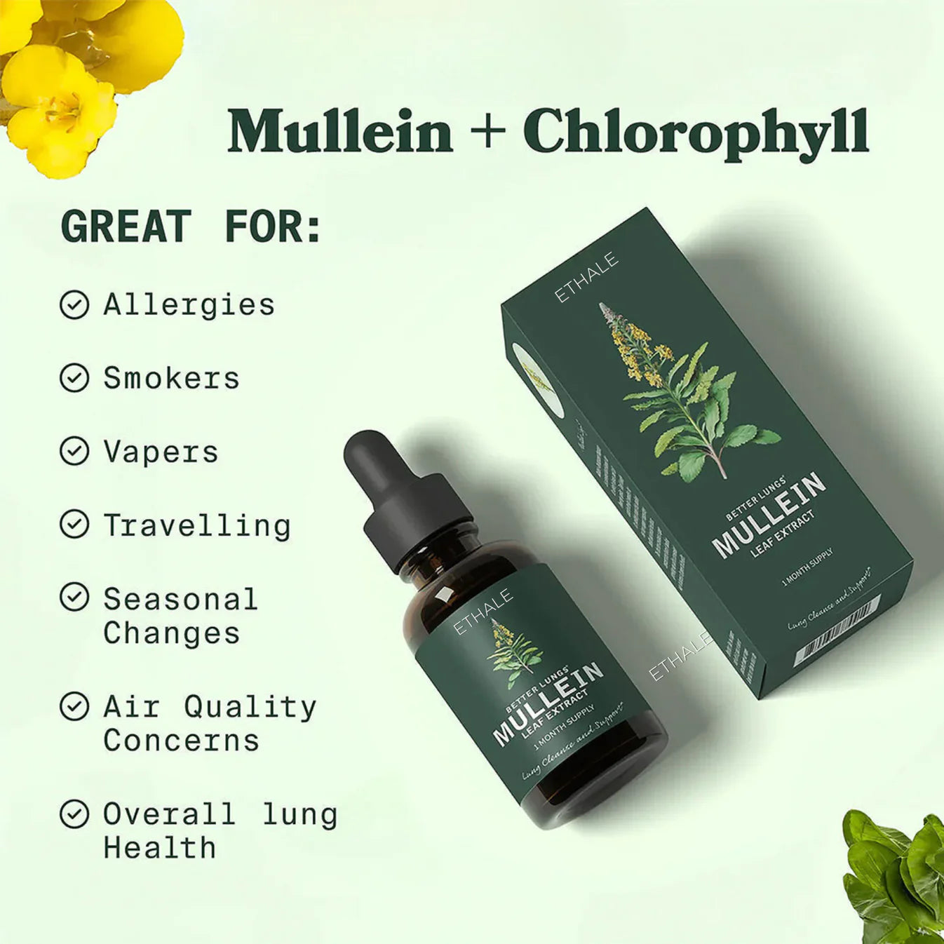 Mullein & Chlorophyll Lung Drops